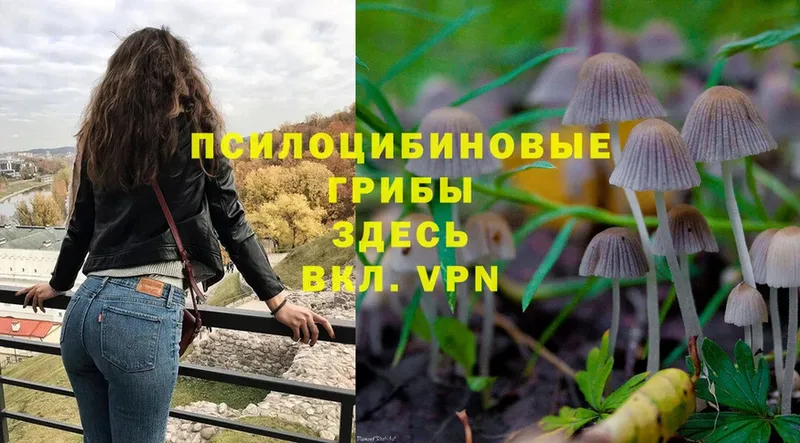 Галлюциногенные грибы Magic Shrooms  Правдинск 